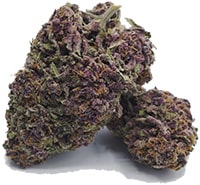 THC Skunk Flower